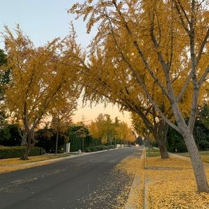 Meet your Posher, Sam